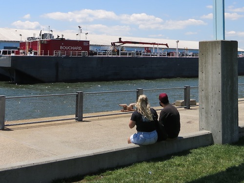 brooklyn bridge park nyc