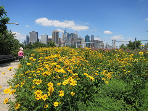 brooklyn bridge park nyc