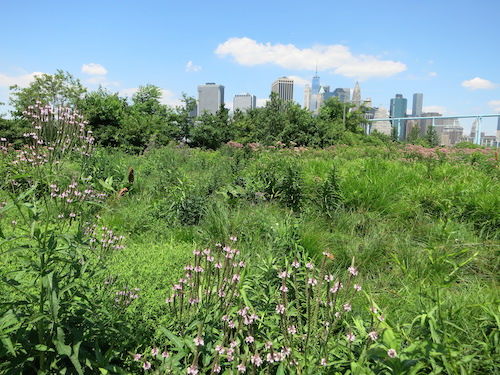 brooklyn bridge park nyc