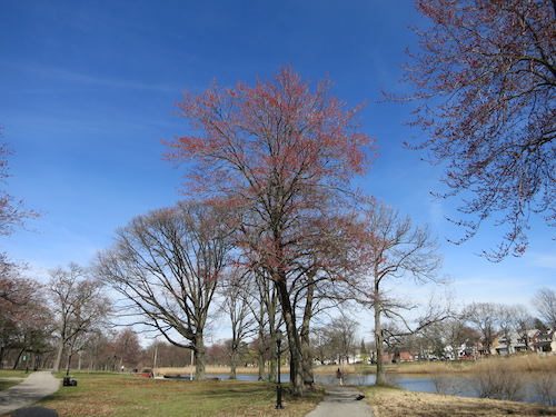 brookville park queens nyc conselyeas pond