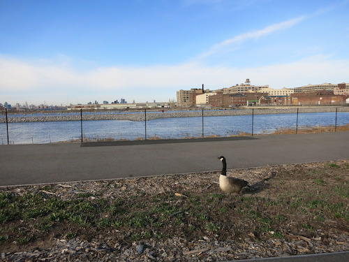 bush terminal park sunset park brooklyn