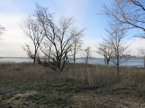 bush terminal park sunset park brooklyn