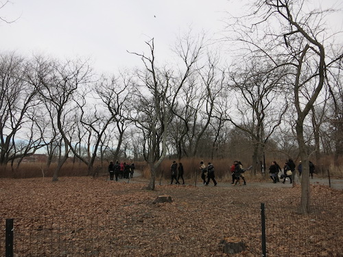 canarsie park brooklyn nyc