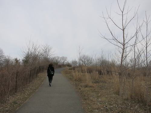 canarsie park brooklyn nyc