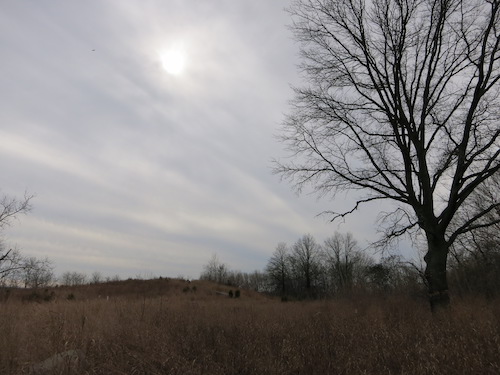 canarsie park brooklyn nyc