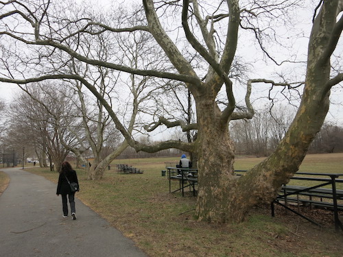 canarsie park brooklyn nyc