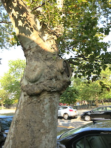 john j carty park bay ridge brooklyn nyc