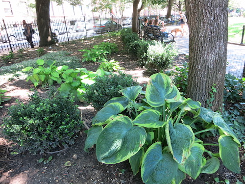 cobble hill park brooklyn nyc