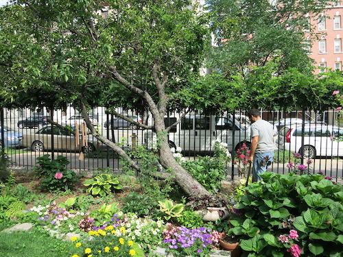 convent garden manhattan harlem sugar hill hamilton heights nyc