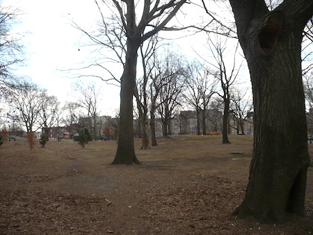 Richman (Echo) Park : NYC Parks