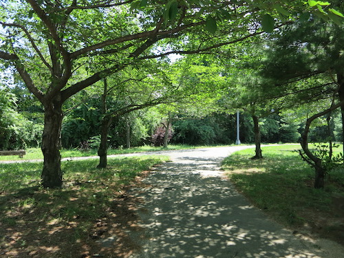 cunningham park queens nyc