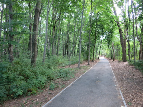 cunningham park queens nyc