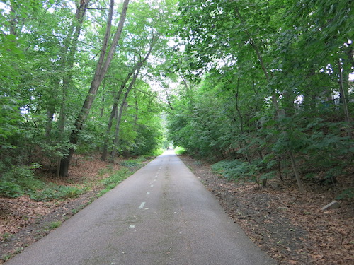 vanderbilt parkway queens nyc