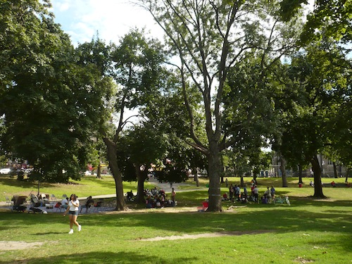 devoe park bronx