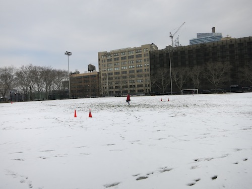 dewitt clinton park soccer