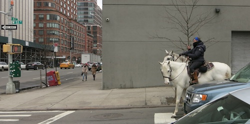 dewitt clinton park stables