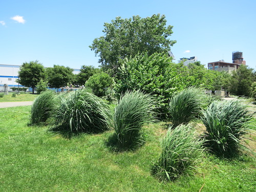 east river state park williamsburg brooklyn nyc