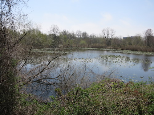 eibs pond park hill staten island nyc kettle pond