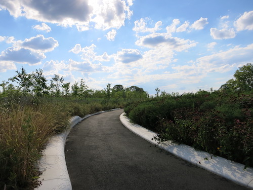 hammock grove governors island nyc