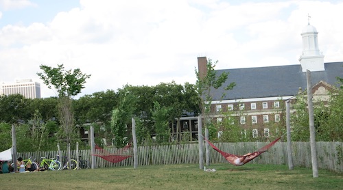 hammock grove governors island nyc