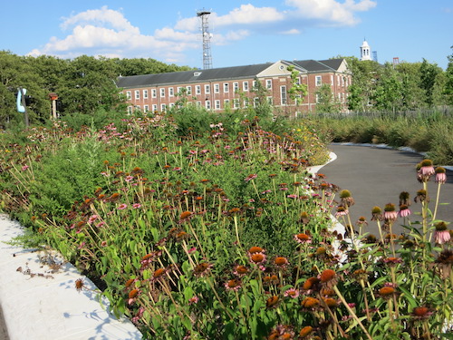 liggett hall liggett terrace governors island nyc