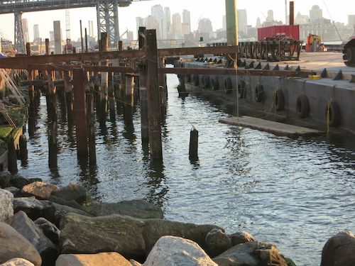 grand ferry park williamsburg brooklyn nyc