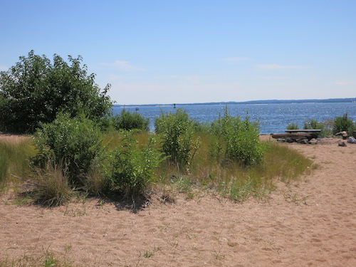 lemon creek park staten island nyc