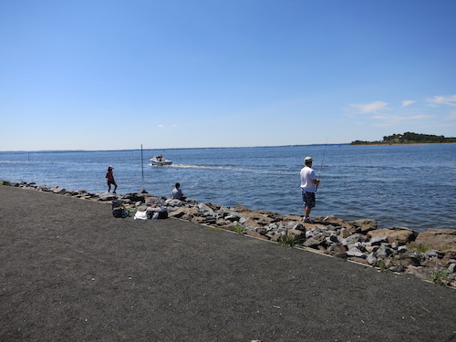 lemon creek park staten island nyc