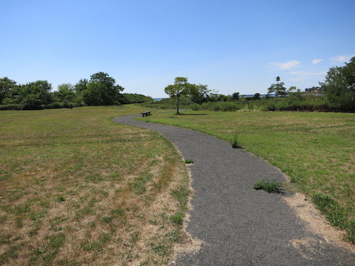 lemon creek park staten island nyc