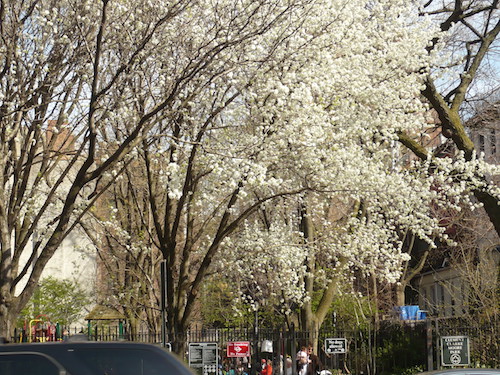 clement clarke moore park chelsea manhattan nyc