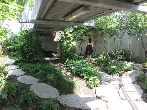 newtown creek nature walk greenpoint brooklyn nyc