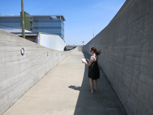 newtown creek nature walk greenpoint brooklyn nyc