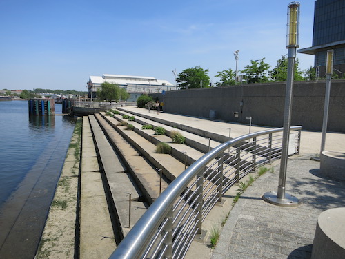 newtown creek nature walk greenpoint brooklyn nyc