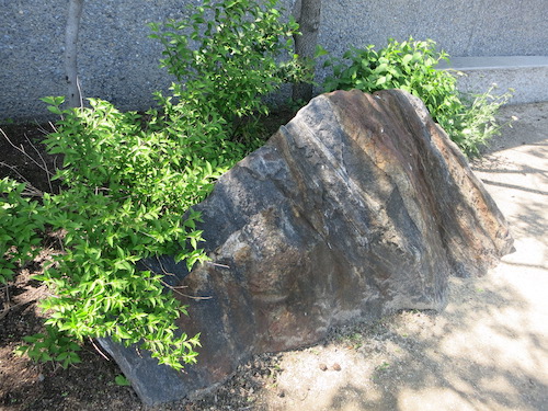 newtown creek nature walk greenpoint brooklyn nyc