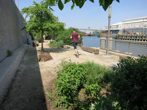 newtown creek nature walk greenpoint brooklyn nyc