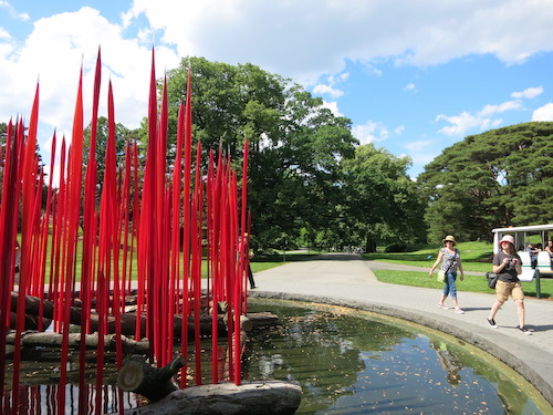 dale chihuly nybg new york botanical garden bronx nyc