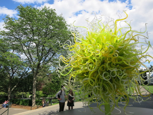 dale chihuly nybg new york botanical garden bronx nyc