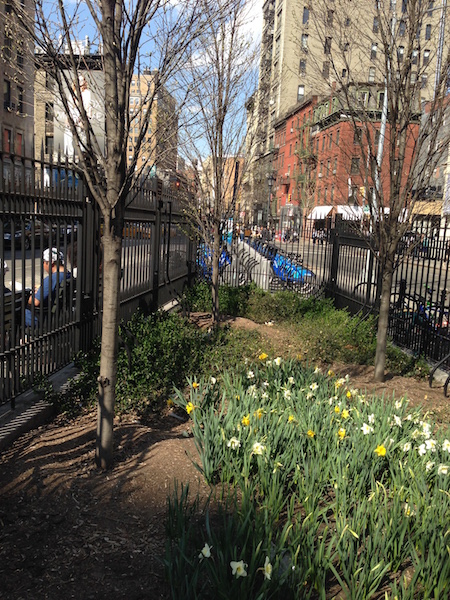 petrosino square nyc