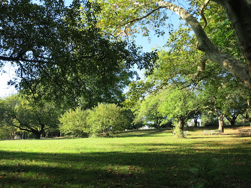 silver lake park staten island nyc