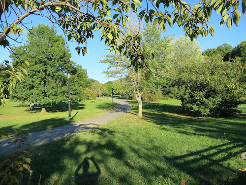 silver lake park dog run staten island nyc