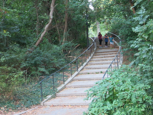 silver lake park staten island nyc