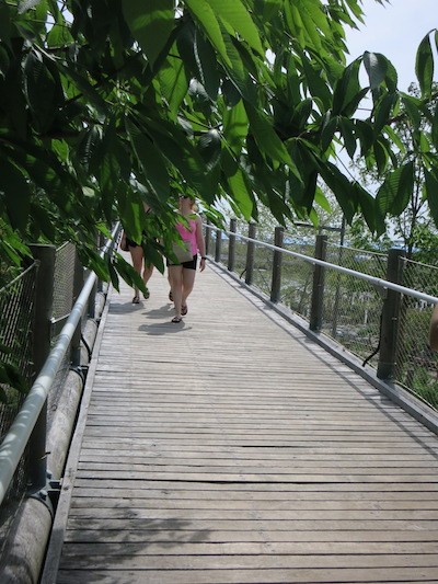 squibb park bridge brooklyn heights nyc