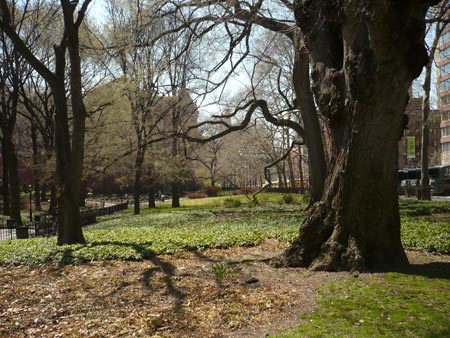 image of Theodore Roosevelt Park