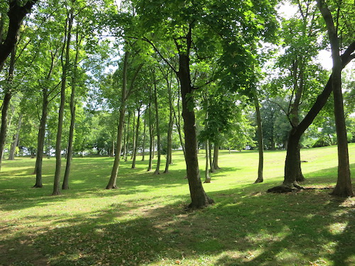 arthur von briesen park staten island nyc