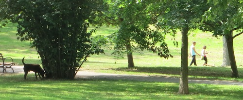 arthur von briesen park staten island nyc