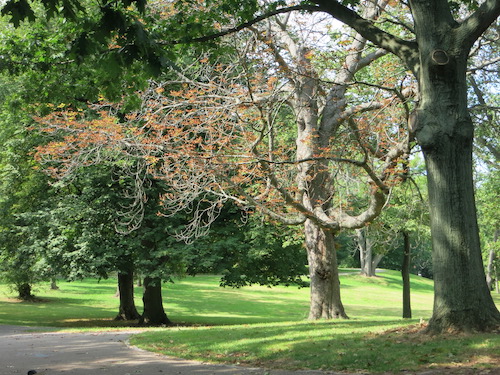 arthur von briesen park staten island nyc