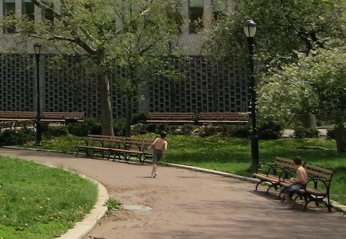 walt whitman park cadman plaza brooklyn nyc