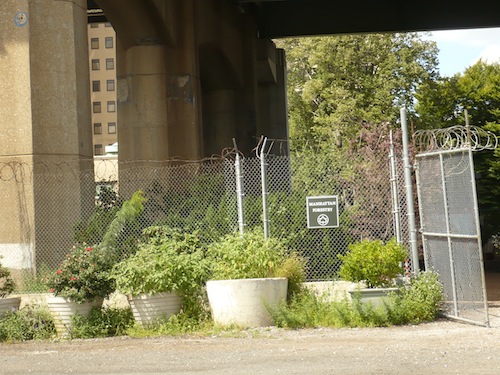 wards island park manhattan forestry