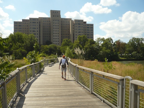 wards island park