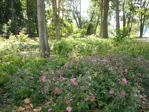 wards island park